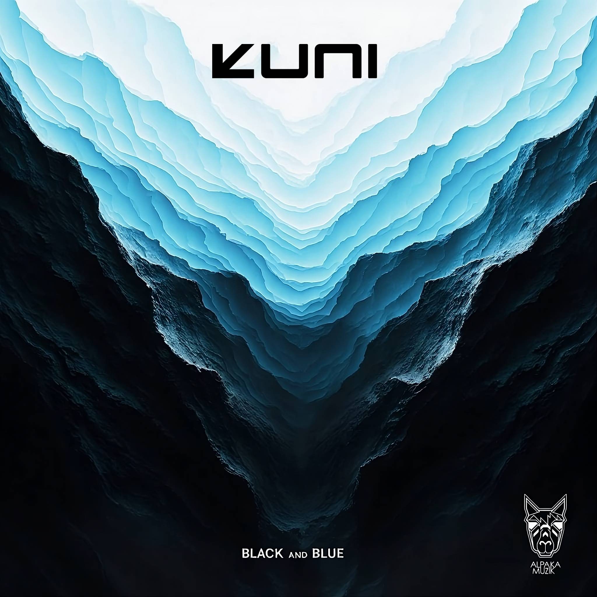 Black and Blue cover art